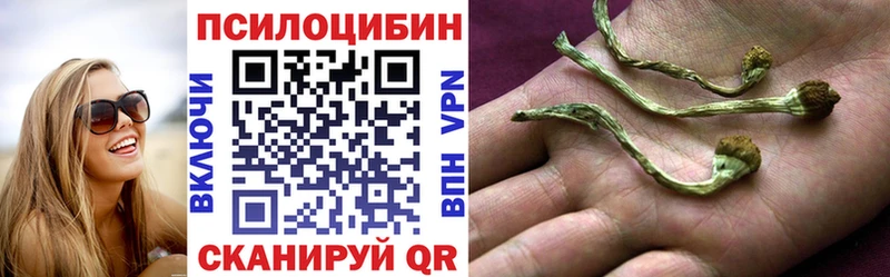 наркошоп  ОМГ ОМГ как зайти  Галлюциногенные грибы прущие грибы  Костерёво 